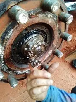 Cigüeñal y rodamientos: inspección y reemplazo de grasa